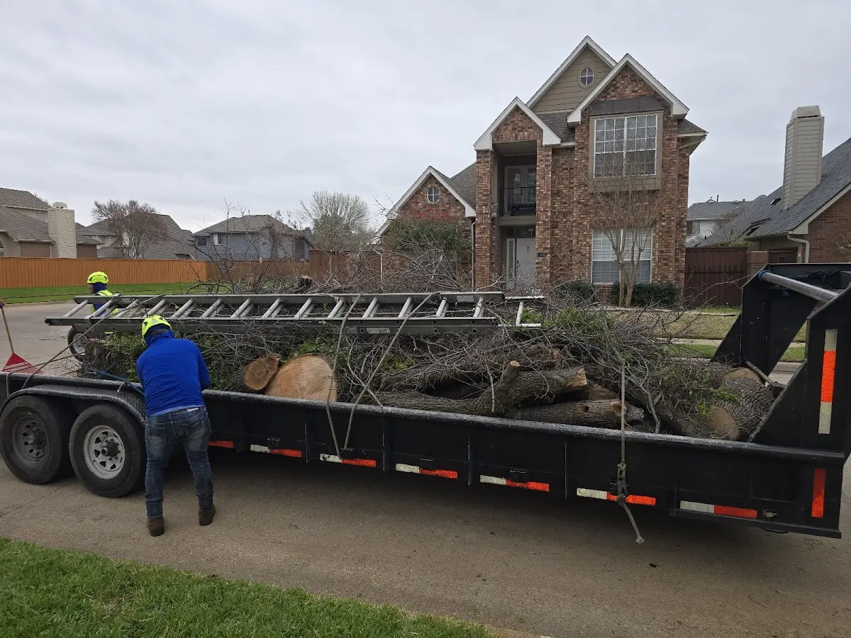 Expert Tree Fertilization with proper safety equipment in Osprey